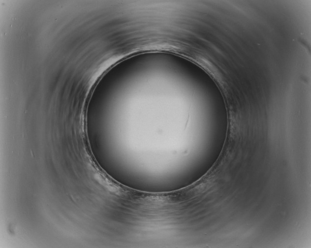 X0000101691044200807171431