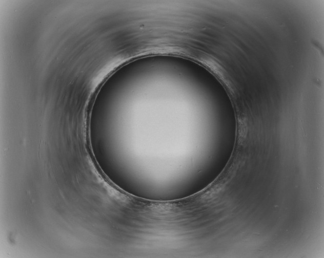 X0000101691046200807171431