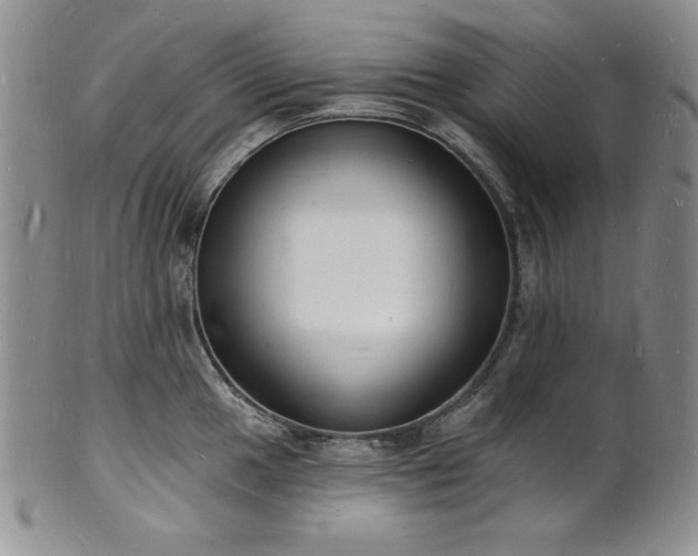 X0000101691049200807171431