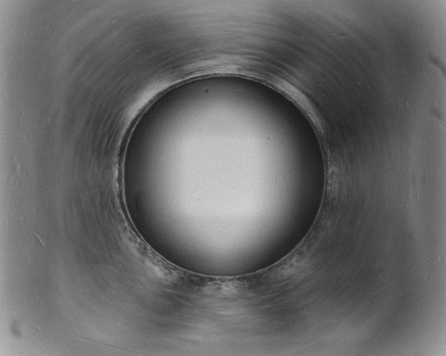 X0000101691051200807171431