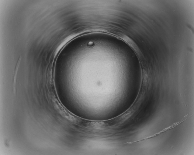 X0000101691052200807171431