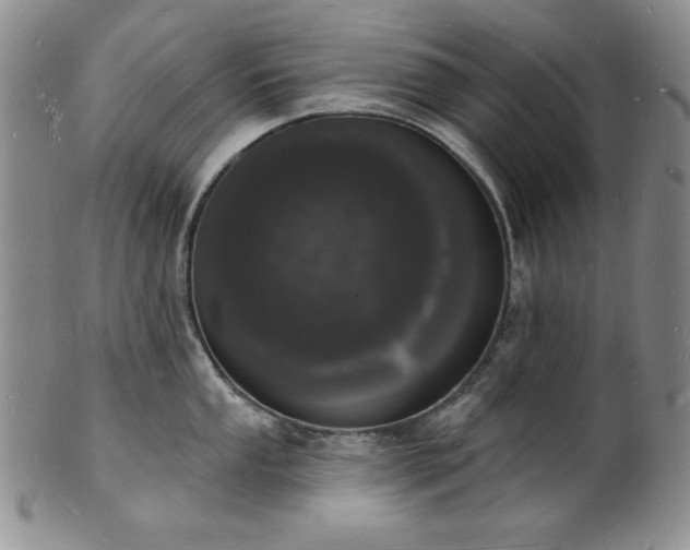 X0000101691053200807171431