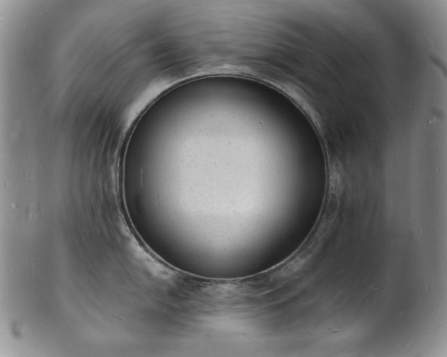 X0000101691054200807171431