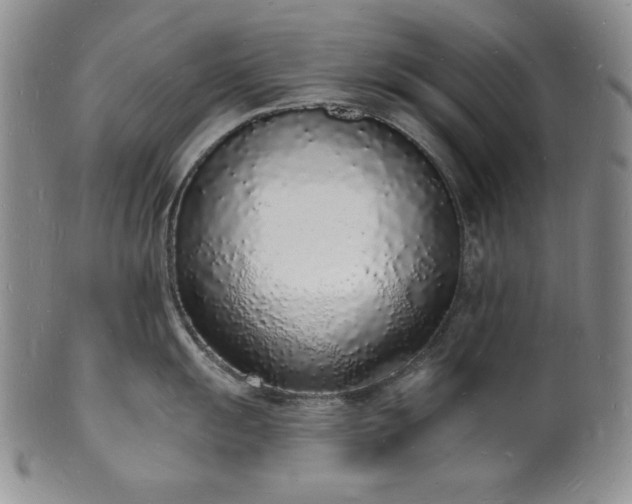 X0000101691055200807171431