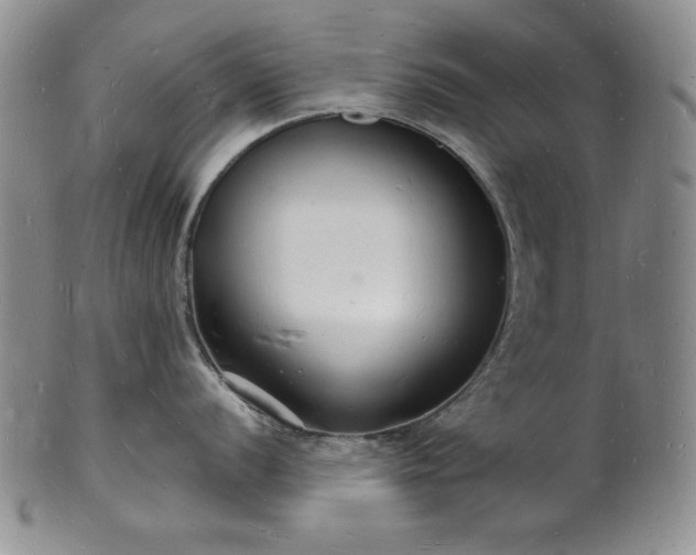 X0000101691056200807171431