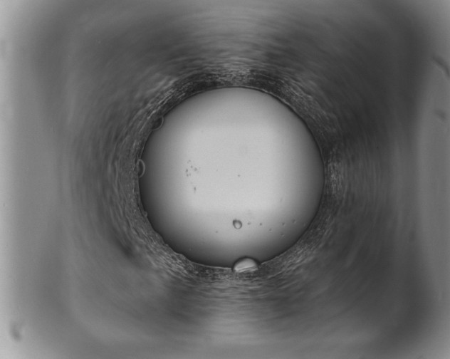 X0000101691057200807171430