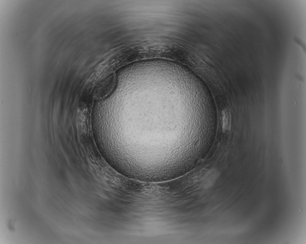 X0000101691059200807171430