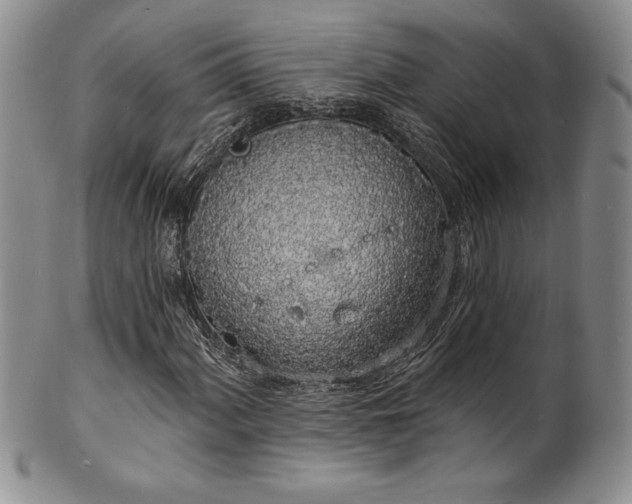 X0000101691060200807171430