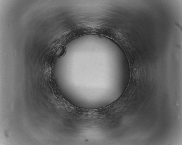 X0000101691061200807171430