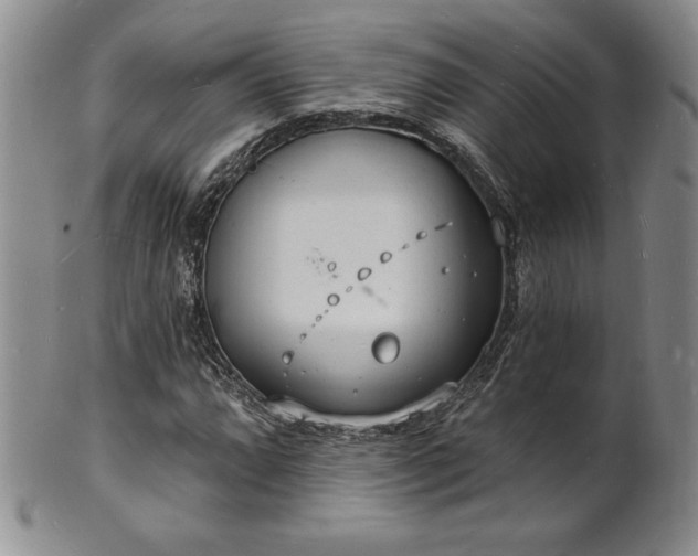 X0000101691064200807171430