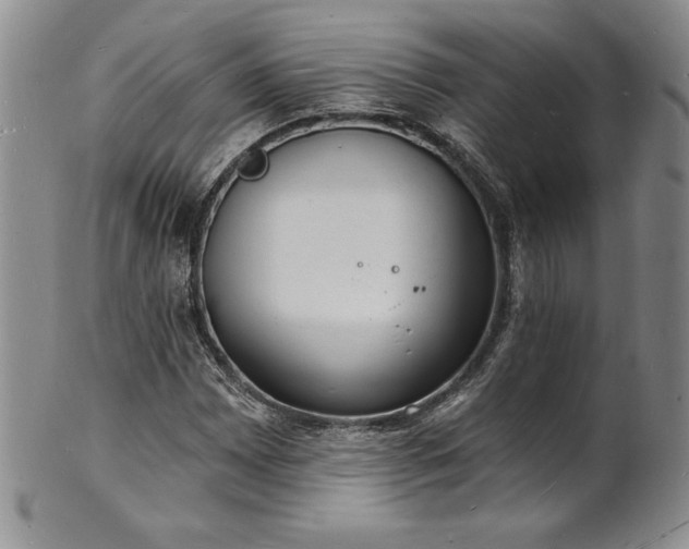 X0000101691065200807171430