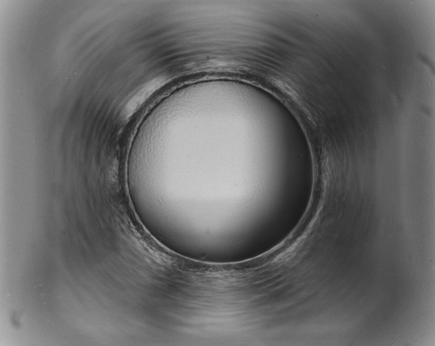 X0000101691066200807171430