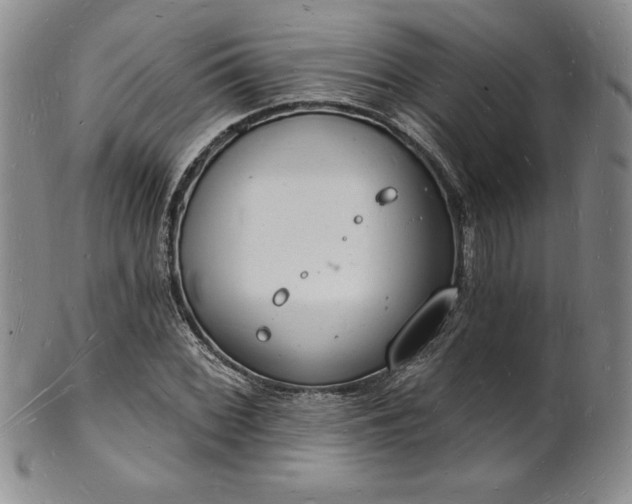 X0000101691068200807171430