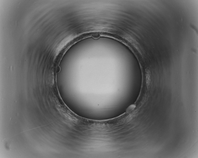 X0000101691069200807171430