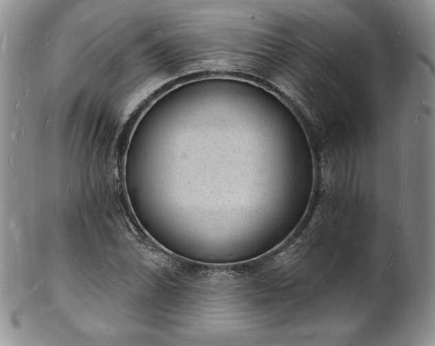 X0000101691070200807171430