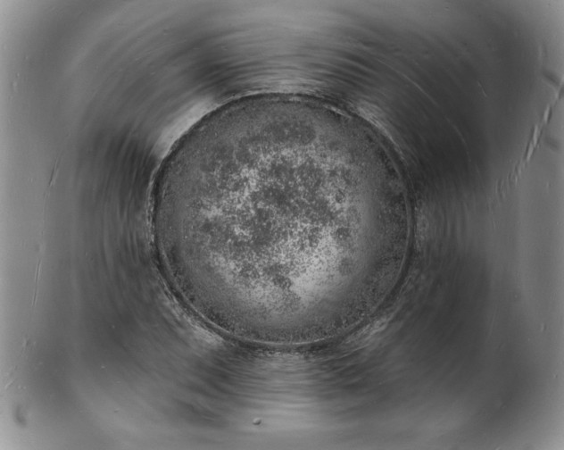 X0000101691071200807171430