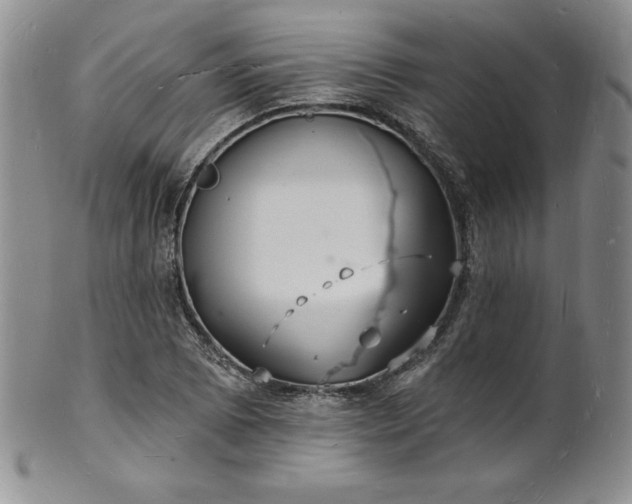 X0000101691073200807171430