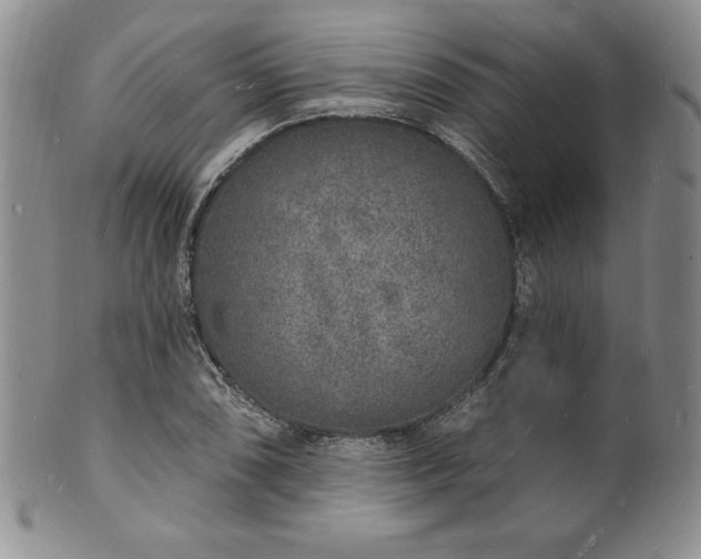 X0000101691074200807171430