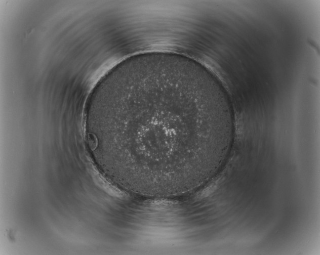 X0000101691077200807171430