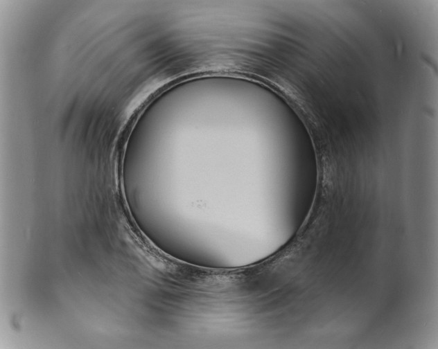 X0000101691078200807171430