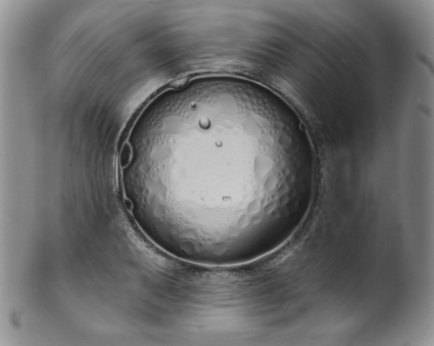 X0000101691079200807171430