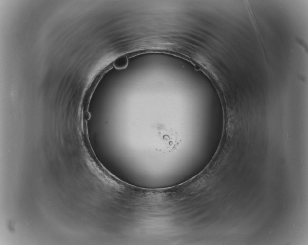 X0000101691080200807171430