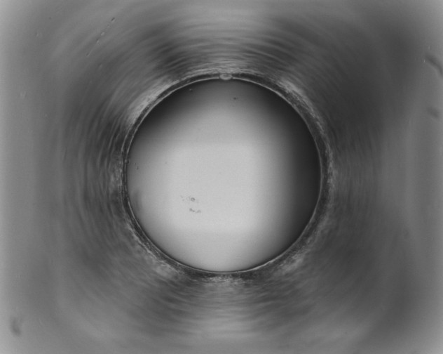 X0000101691081200807171430