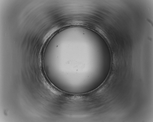 X0000101691082200807171430