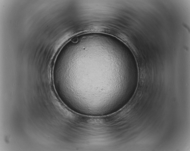 X0000101691083200807171430