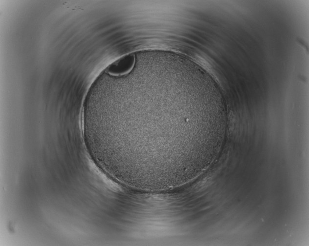 X0000101691084200807171430