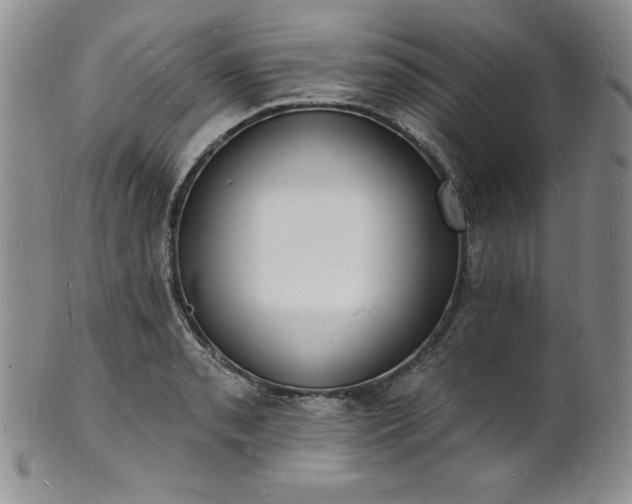 X0000101691085200807171430