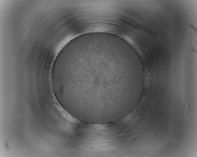 X0000101691086200807171430