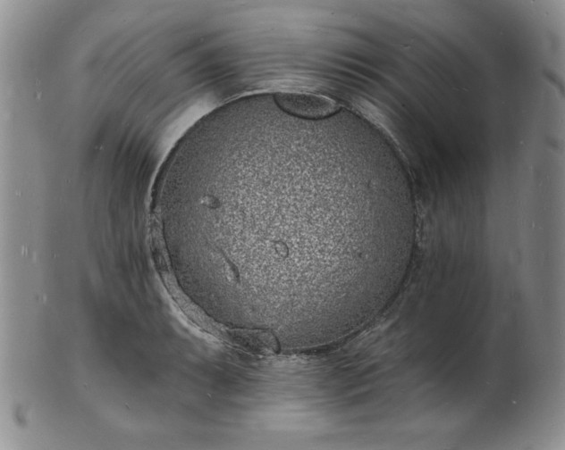 X0000101691087200807171430