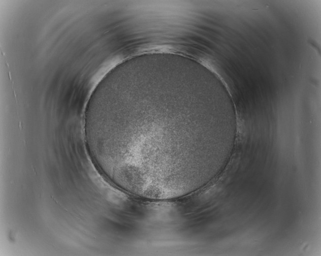 X0000101691090200807171430