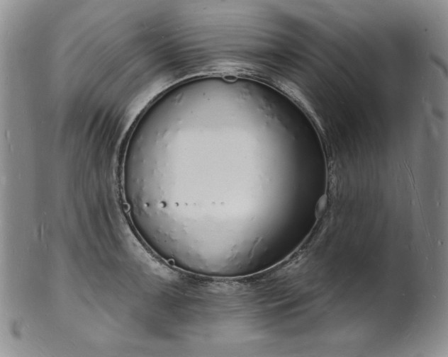 X0000101691091200807171430