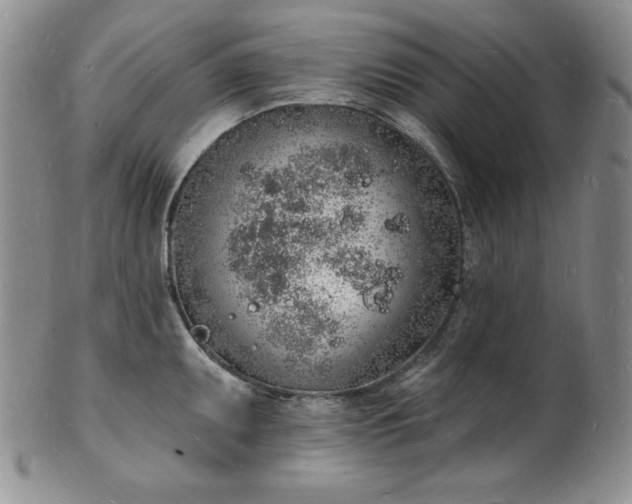 X0000101691095200807171430