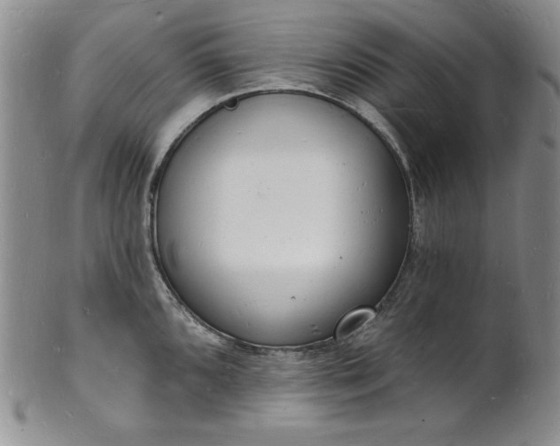 X0000101691096200807171430