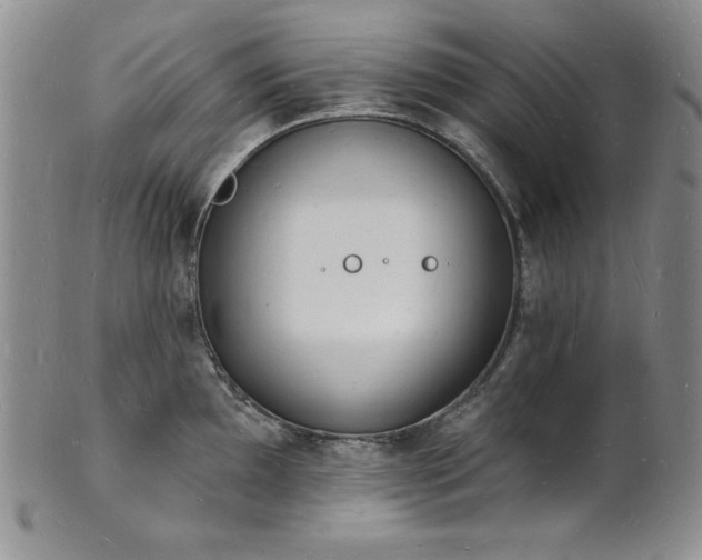 X0000101691097200807171430