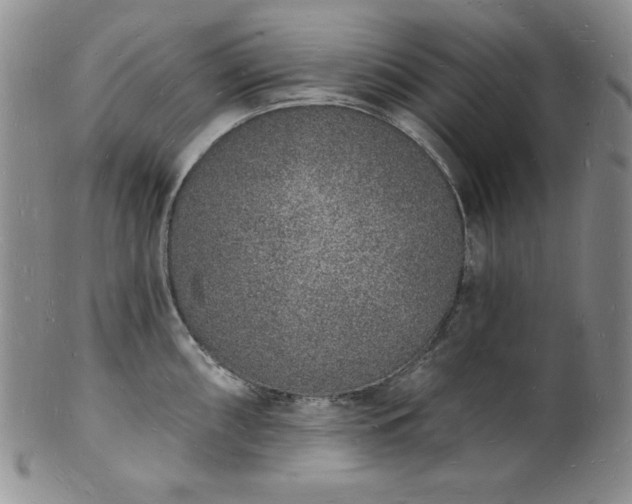 X0000101691098200807171430