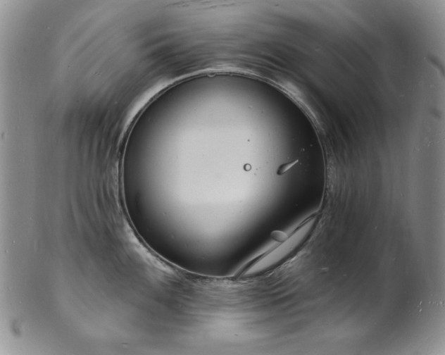 X0000101691100200807171430