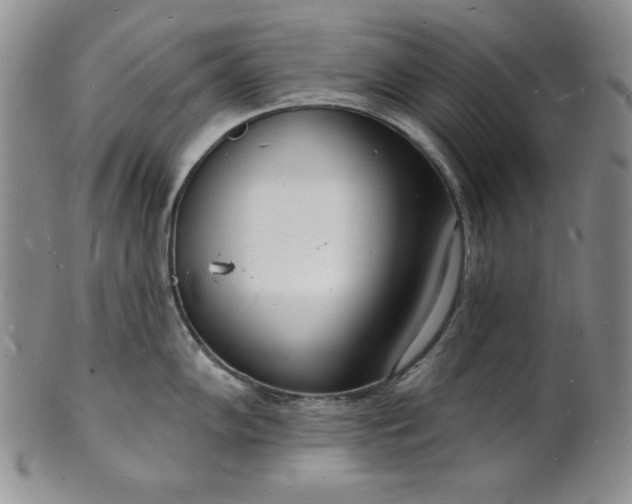 X0000101691102200807171429