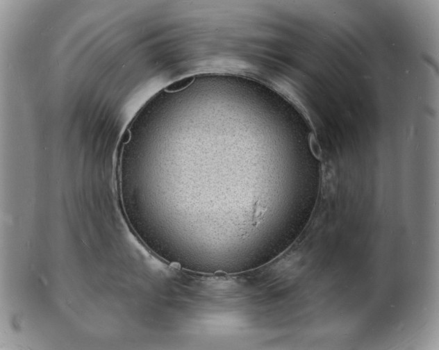 X0000101691103200807171429