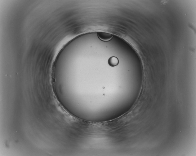 X0000101691104200807171429