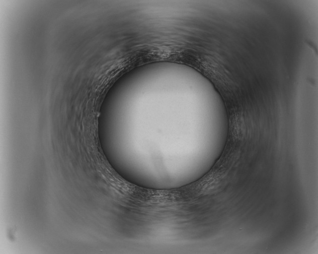 X0000101691105200807171429