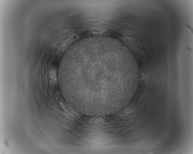 X0000101691106200807171429