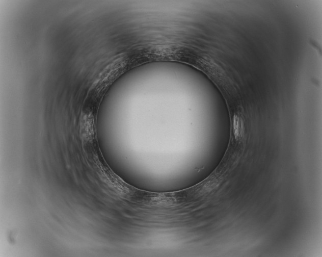 X0000101691107200807171429