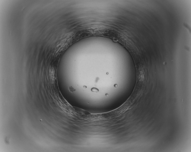 X0000101691108200807171429