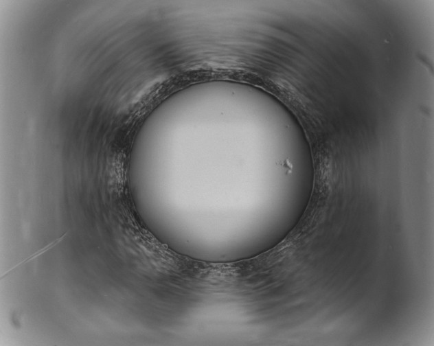 X0000101691110200807171429