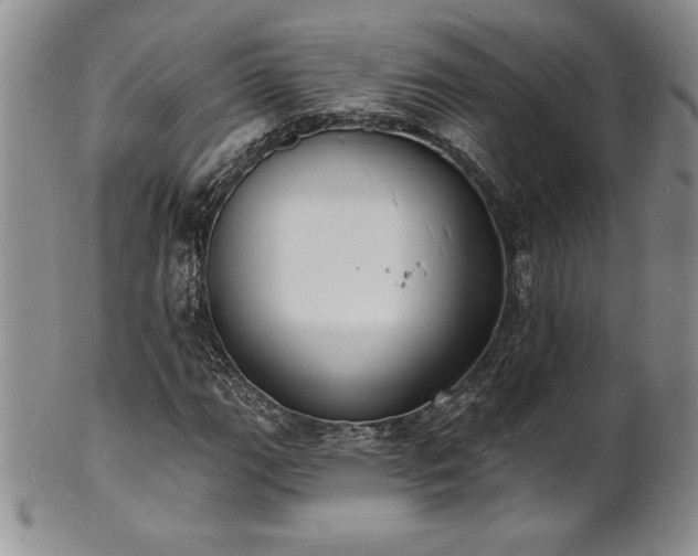 X0000101691111200807171429