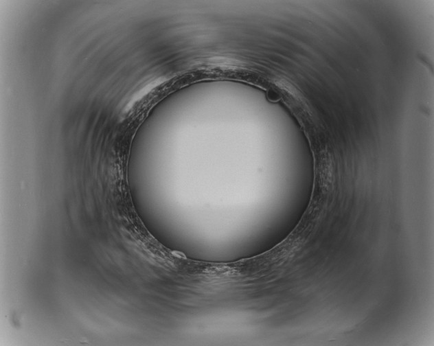 X0000101691112200807171429